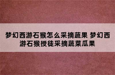 梦幻西游石猴怎么采摘蔬果 梦幻西游石猴授徒采摘蔬菜瓜果